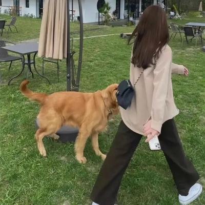 一代枭雄之三支旗封面